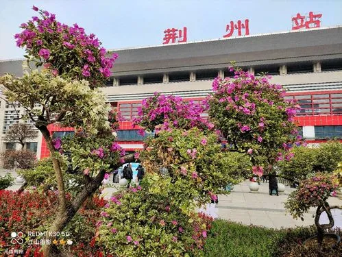 嘉兴到荆州物流公司-货物保险，放心选择嘉兴至荆州专线公司