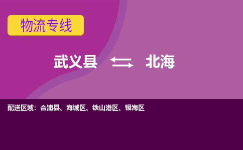 武义到北海物流公司|武义县到北海货运专线-效率先行