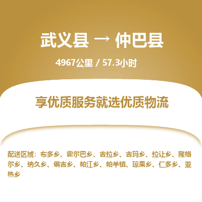 武义到仲巴县物流公司|武义县到仲巴县货运专线-效率先行
