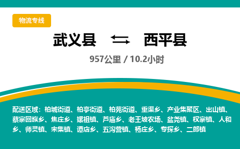 武义到西平县物流公司|武义县到西平县货运专线-效率先行