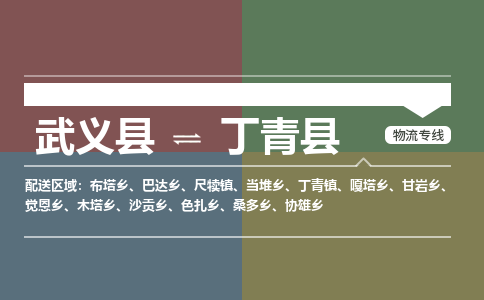武义到丁青县物流公司|武义县到丁青县货运专线-效率先行