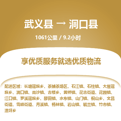 武义到洞口县物流公司|武义县到洞口县货运专线-效率先行