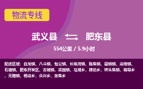 武义到肥东县物流公司|武义县到肥东县货运专线-效率先行