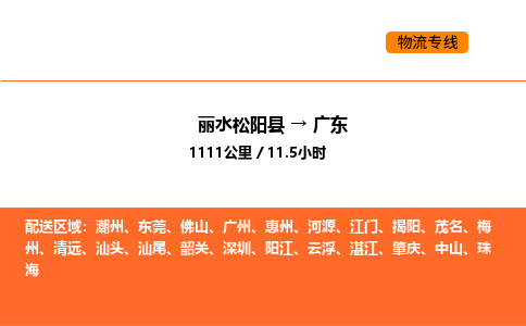 运输零担丽水到广东货运公司-专线直达-急货24小时送达